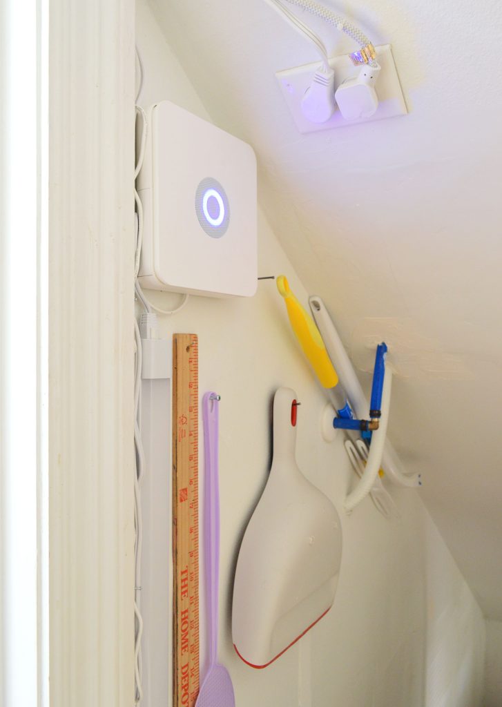 Inside Wall Of Utility Closet With Dustpan And Fly Swatter