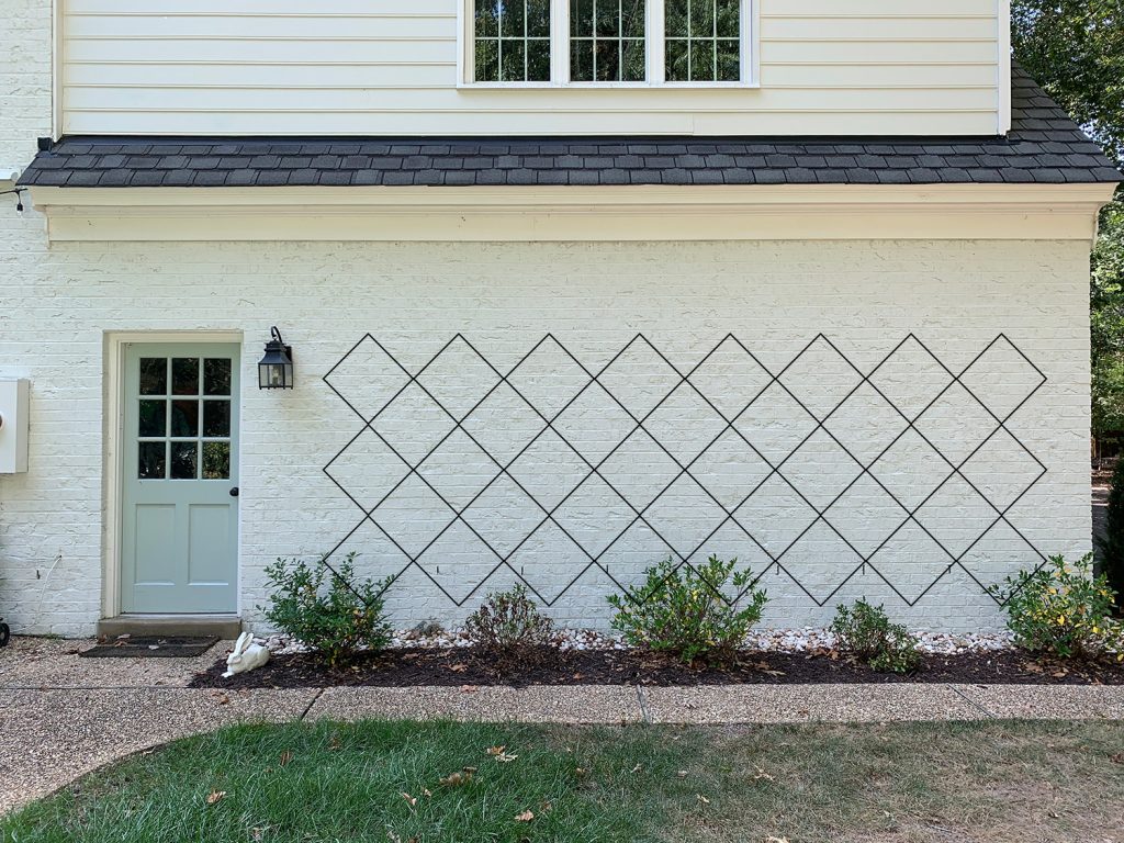 Photoshop rendering of trellis diamond pattern option 3